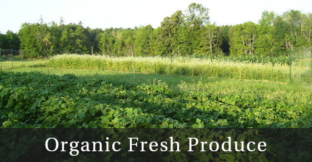 Organic fresh produce and apples from the Farr Homestead, a family farm in Troy, Maine.